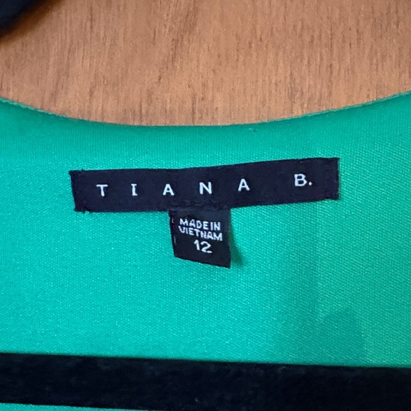 Tiana B Aztec Green Sleeveless V-Neck Dress - Picture 2 of 6